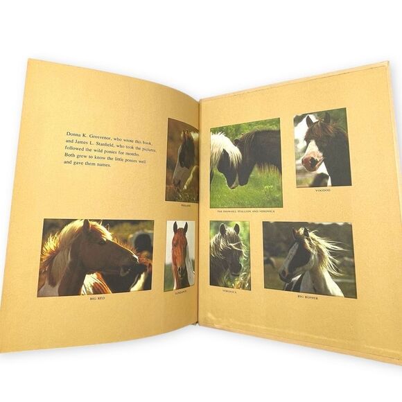 Three Little Indians Wild Ponies Assateague Island National Geographic Books - Picture 12 of 16
